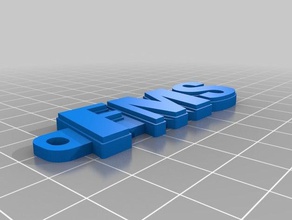 fms llavero - racing sanone organización personalizado 3d print model - Mito3D
