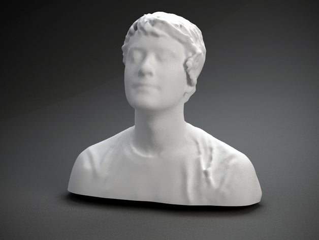 jesse chan-norris diğer 3D print model - Mito3D