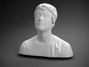 jesse chan-norris other 3d print model - Mito3D