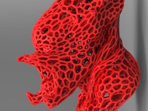 predator tarzı voronoi matematik sanatı 3d print model - Mito3D
