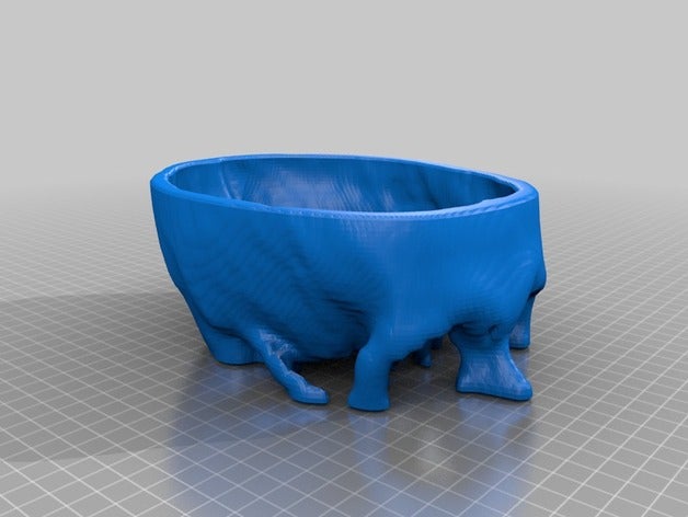 sliced skull biology 3D print model - Mito3D