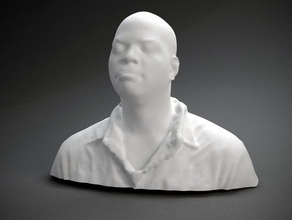 tracey ryans andere 3d print model - Mito3D