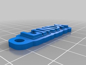 özelleştirilmiş çok satırlı etiket Anahtarlık linda benim organizasyon 3d print model - Mito3D