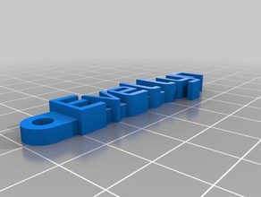 evellyn organização personalizado 3d print model - Mito3D
