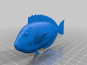 fish toucan virtual museum animals 3d print model - Mito3D