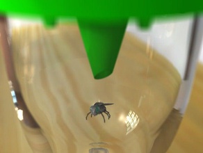 volar lejos fuentes de la casa a las abejas cap personalizador mosca atrapamoscas frasco vidrio hornet los insectos tarro trampa avispa 3d print model - Mito3D
