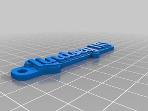 lindsey organizasyon özelleştirilmiş 3d print model - Mito3D