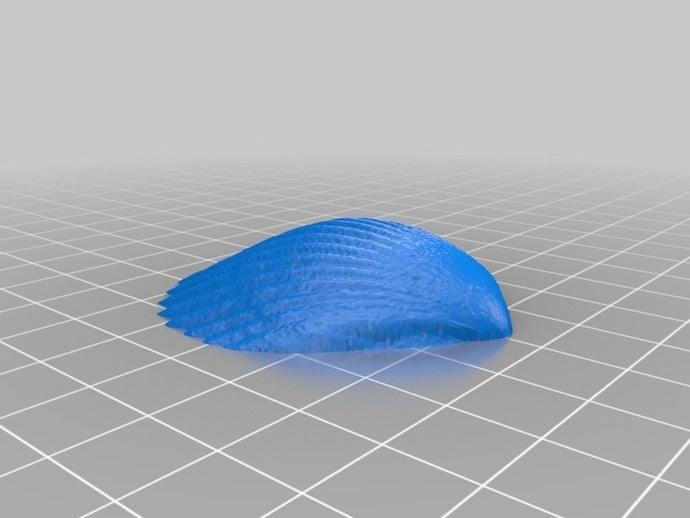 scalloped shell scans replicas coney island mermaid parade seashell 3D print model - Mito3D