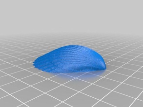 scalloped shell durchsucht Replikate coney island mermaid parade seashell 3d print model - Mito3D