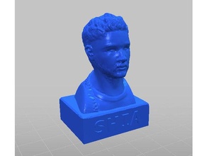 shia labust people anet a8 braid bust cool dank meme memes hair high resolution included joke pepe person remix labeouf stale statue troll 3d print model - Mito3D