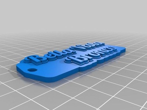 bv keychain organization customized 3d print model - Mito3D