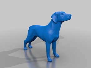 dog toy & game accessories 3d print model - Mito3D