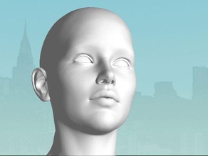 head sculptures human sculpture 3d print model - Mito3D