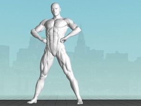 male bodybuilder 1 full body people figure man muscle sculpture 3d print model - Mito3D