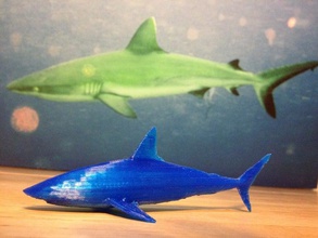 resif toucan sanal Müzesi köpekbalığı heykeller onsuchafullsea 3d print model - Mito3D