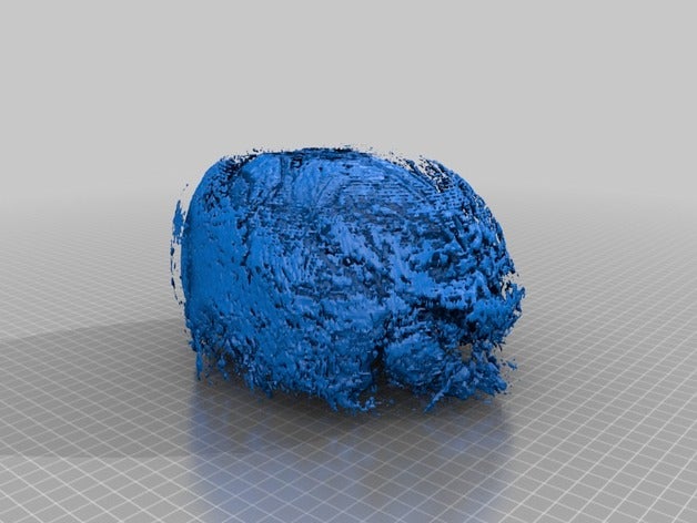 ct scan biology 3D print model - Mito3D