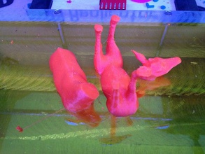 kaplama okapi hayvanlar 3d print model - Mito3D