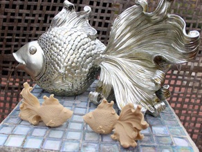 les poissons d'ornement analyses & répliques 123d catch 3d print model - Mito3D