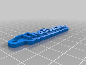 thatiane organizasyon özelleştirilmiş 3d print model - Mito3D