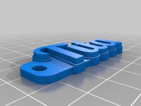 tita llavero organización personalizado 3d print model - Mito3D