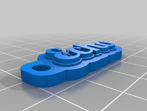 echo Anahtarlık organizasyon özelleştirilmiş 3d print model - Mito3D