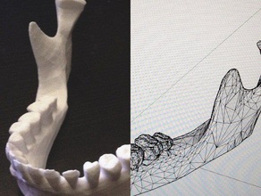 kaak standaard voor de ipad tablet anatomie menselijk hoofd menselijke schedel onderkaak 3d print model - Mito3D