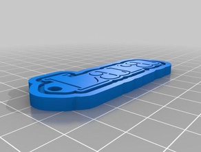 clave de la etiqueta lara organización personalizado 3d print model - Mito3D