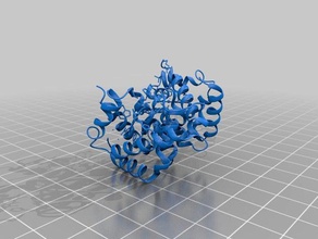 hemoglobine dieren 3d print model - Mito3D