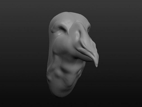 turquia cabeça esculturas pássaro sculptris 3d print model - Mito3D