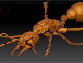 red bull ant biology bug bugs gulosa insect insects myrmecia 3d print model - Mito3D