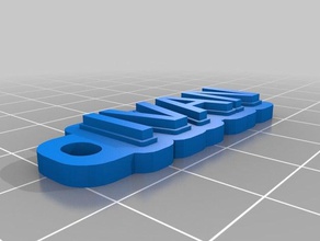 ivan de l'organisation personnalisé 3d print model - Mito3D