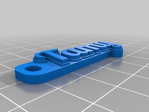 chaveiro tamy organization customized 3d print model - Mito3D