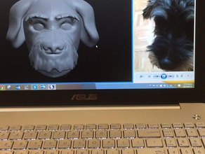 sculptris test my dog other 3d print model - Mito3D