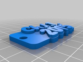 chit keychain 2 organization customized 3d print model - Mito3D