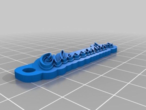 aleekeychain de l'organisation personnalisé 3d print model - Mito3D