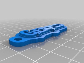 gkey de l'organisation personnalisé 3d print model - Mito3D