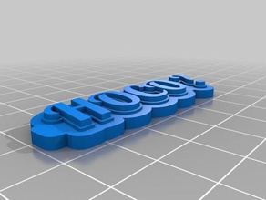 il mio personalizzato multiline tag portachiavi organizzazione 3d print model - Mito3D