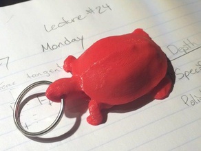 testudo keychainbottle openerwhistle keychains college maryland offering terp university 3d print model - Mito3D