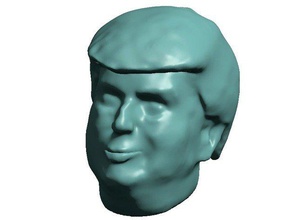 donald trump head people hair toupe 3d print model - Mito3D