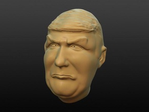 trump peine-over las esculturas combover la cabeza 3d print model - Mito3D