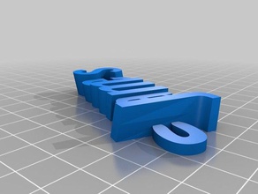 my customized iamburnystext name keyring keyfob organization 3d print model - Mito3D