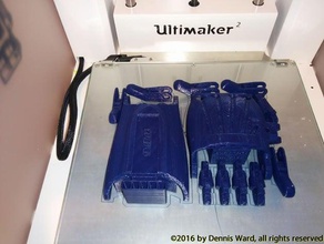raptor reloaded piatto pieno 3d la stampa abilita mano protesica protesi 3d print model - Mito3D