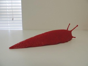 slug dieren 3d print model - Mito3D