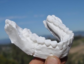 homo naledi mascella rising star cave biologia 3dpt 3d print model - Mito3D