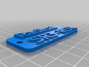 radical rsx llavero organización personalizado 3d print model - Mito3D