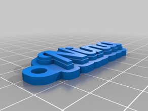 op maat gemaakte sleutelhanger nina organisatie 3d print model - Mito3D