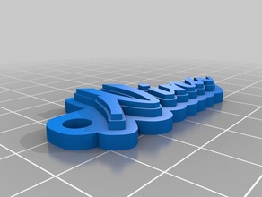 op maat gemaakte sleutelhanger nina2 organisatie 3d print model - Mito3D