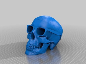 cranio raybans sculture 3d print model - Mito3D