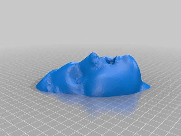 daphne face 2 other 3D print model - Mito3D