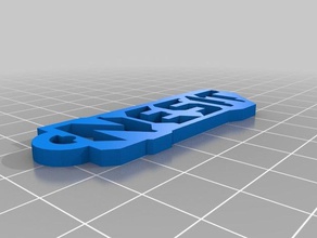 nesit logo keychain keychains 3d print model - Mito3D